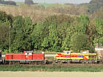 294 156 auf der Angertalbahn